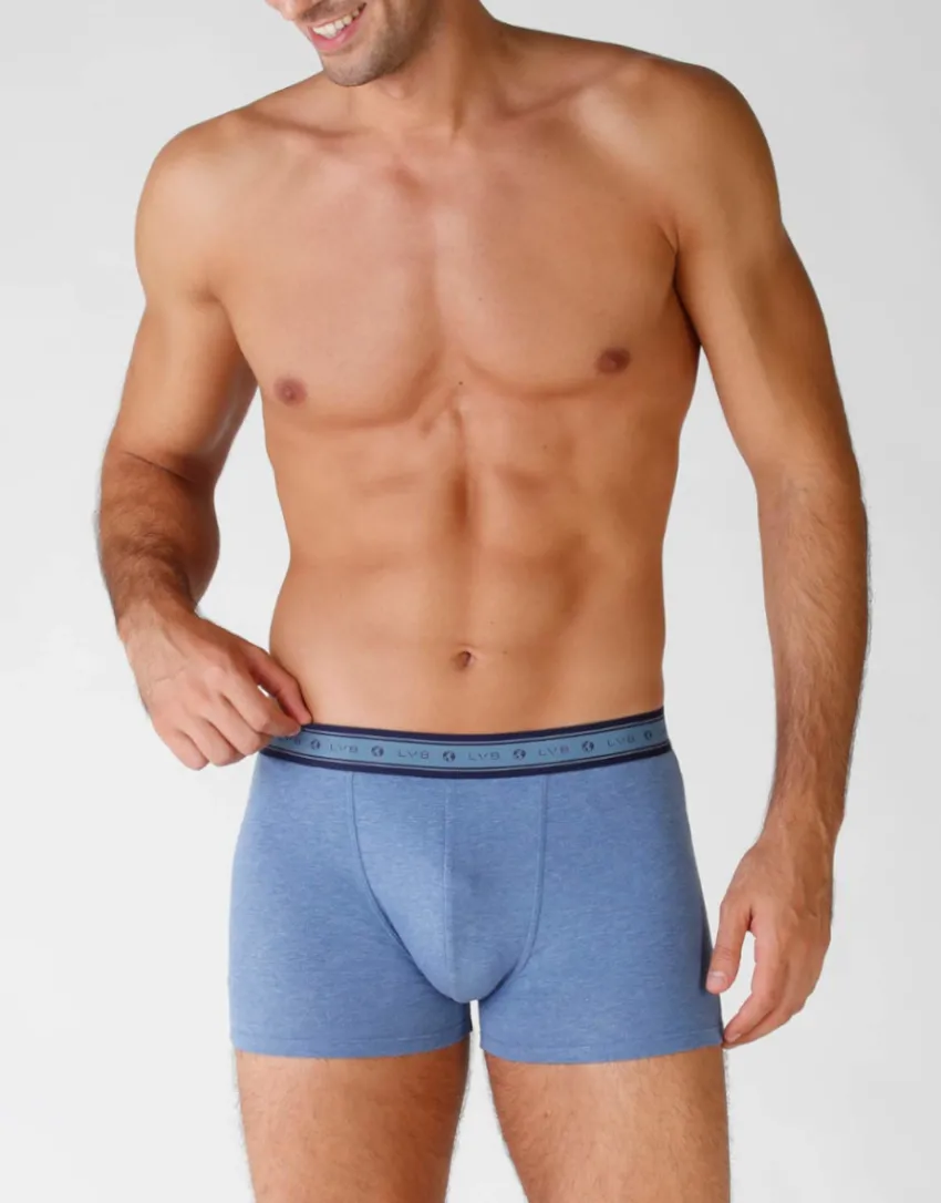Uomo LOVABLE Multipack|Boxer-Boxer bipack uomo in cotone biologico, REF# L0A6C