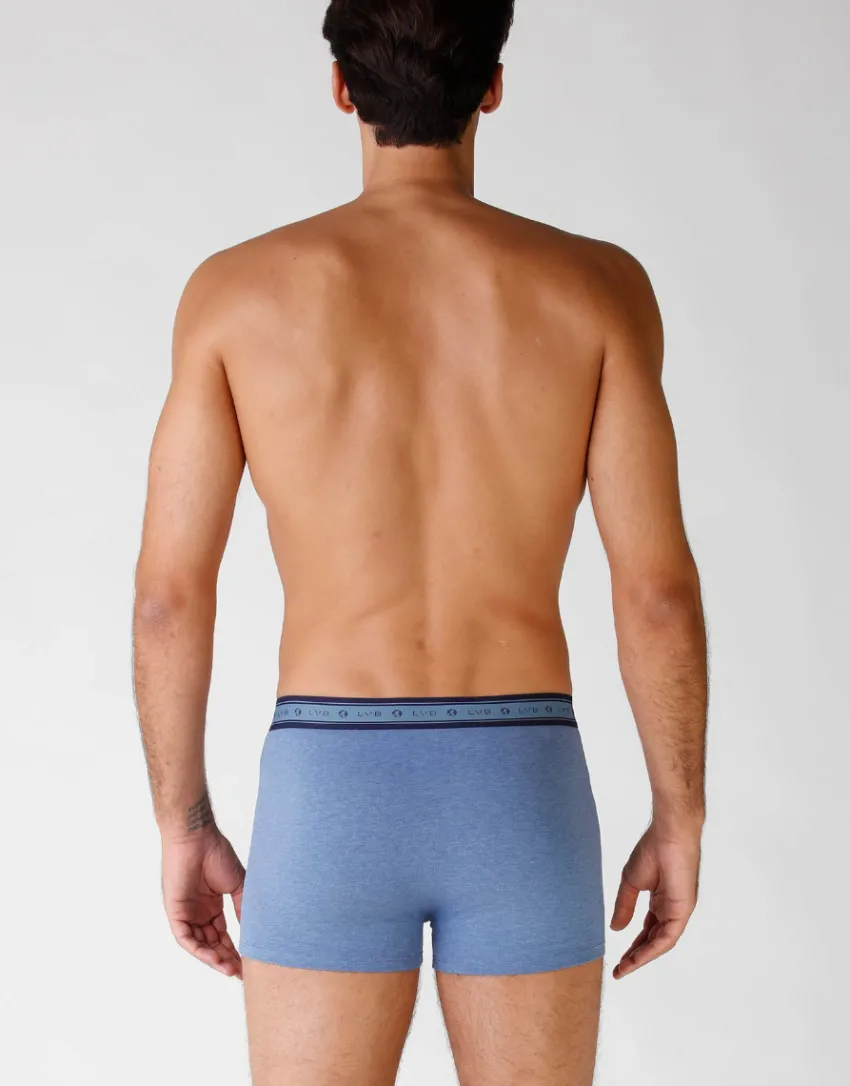 Uomo LOVABLE Multipack|Boxer-Boxer bipack uomo in cotone biologico, REF# L0A6C
