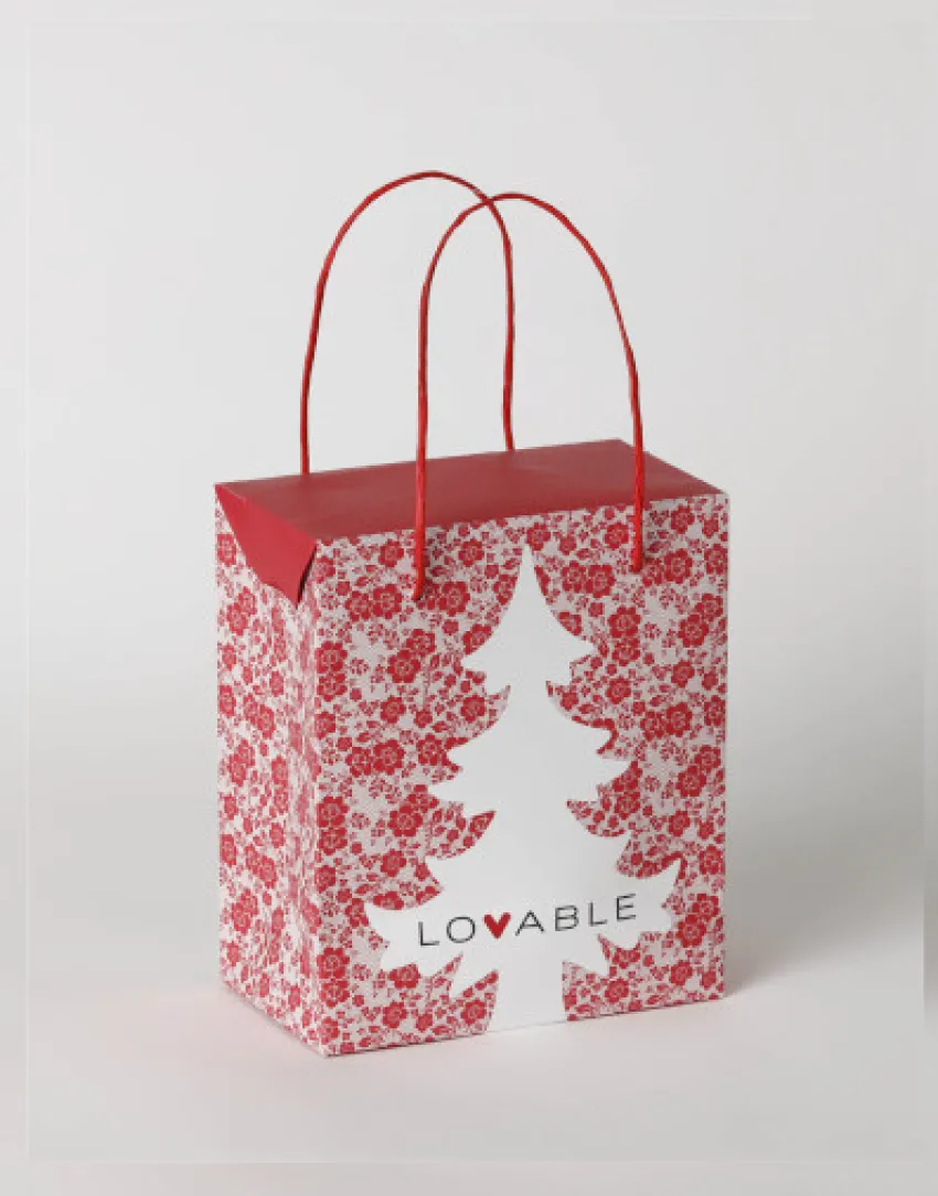 Donna LOVABLE Accessori-Gift Box MediaREF# L1G2070